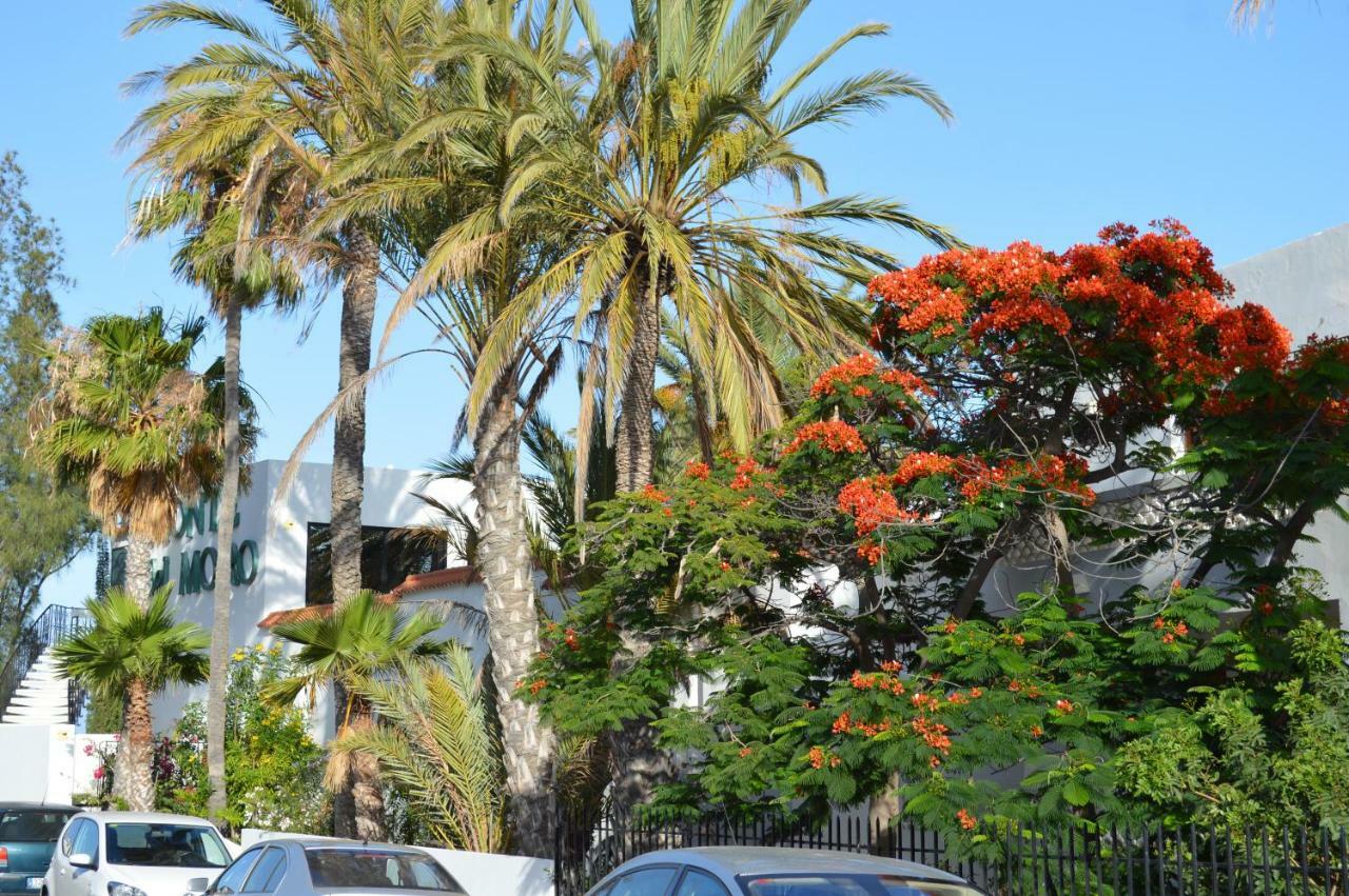 Appartement Ocean Loft à Maspalomas  Extérieur photo